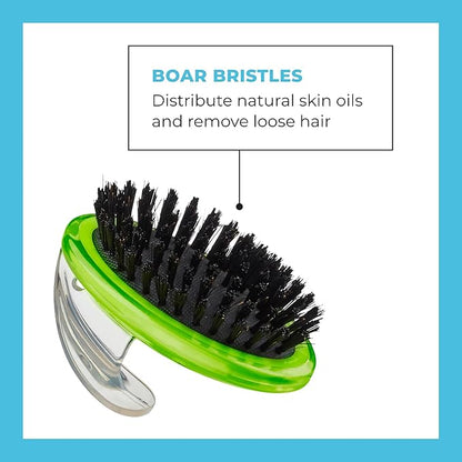 CONAIRPROPET Bristle Brush with Ergonomic Pet-It Design, Dog Brush for Removing Loose Hair