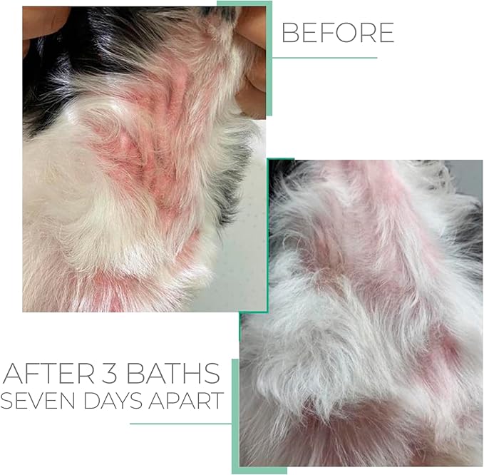 Sensitive Skin Hypoallergenic Conditioner for Pets - Fur Detangling, Nourishment & Hydration, All Ages Pet Grooming Products, Horse, Cat Dog Bath Supplies - Vegan, Paraben-Free - 10.6oz - PUREZA PET