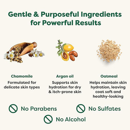 Earth Rated 3-in-1 Soothing Dog Shampoo and Conditioner, Deodorizing Oatmeal Shampoos for Dogs and Puppies, Great for Smelly Pets, White Tea and Basil Scent, 16 oz