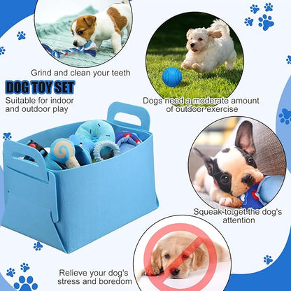 Abbylike 50 Pcs Puppy Supplies Starter Kit for Small Dogs Puppy Essentials Includes Leash, Bowls, Teeth Brushes, Water Bottle, and More Accessories for Dogs Christmas Welcome Gift(Blue)
