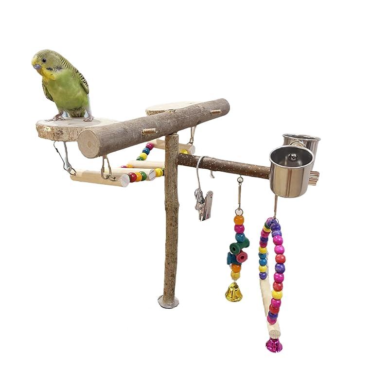 Natural Wood Bird Perch Playground for Outside the Cage Wall, Bird Platform and Play Area for Small to Medium Parrots like Cockatiels, Conures, Parrotlets, Lovebirds, and Budgies, Bird Cage Accessory