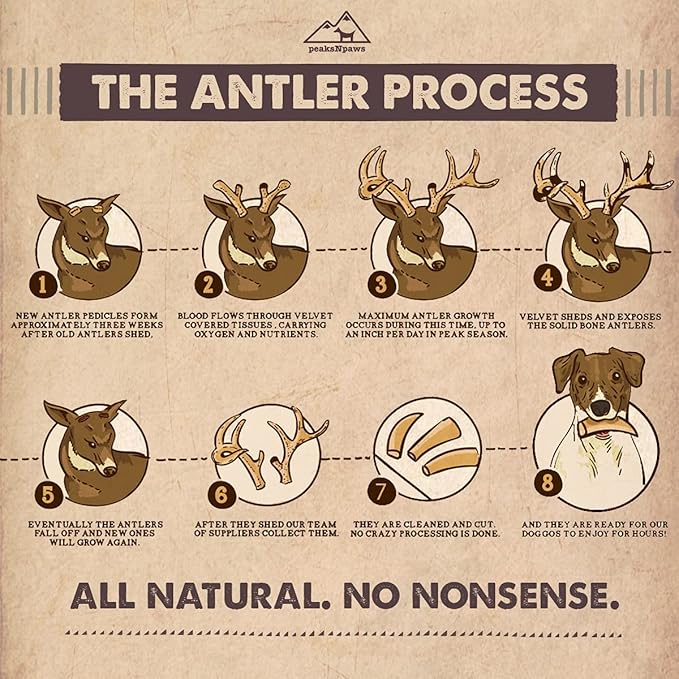 Premium Split Elk Antlers for Dogs, Dog Treats Large Breed, Made in USA, Natural Dog Chews for Aggressive Chewers, Long Lasting Pet Treat for Dogs Under 80 lbs, 2 Large/XL Antler Pack