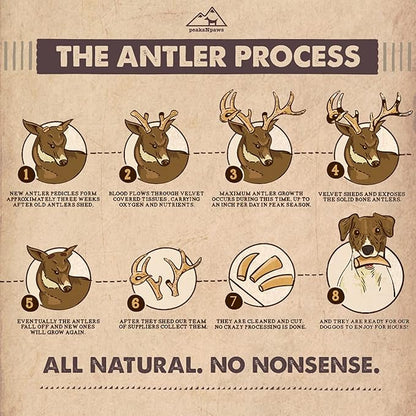 Premium Split Elk Antlers for Dogs, Dog Treats Large Breed, Made in USA, Natural Dog Chews for Aggressive Chewers, Long Lasting Pet Treat for Dogs Under 80 lbs, 2 Large/XL Antler Pack