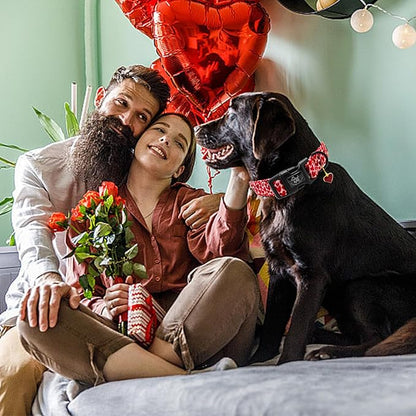 Elegant little tail Valentine's Day Dog Collar-Cute Red Heart Dog Collar for Small Dogs, Female or Male Adjustable Cotton Pet Collar with Quick Release Buckle for Small Medium Large Dogs