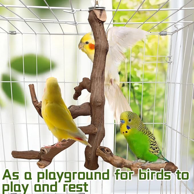 Bird Perch Stand Natural Parrot Perch for Cage Parakeet Climbing Platform Branches Swing Toy Cage Accessories for Cockatiels Lovebird Finches Canaries Budgie