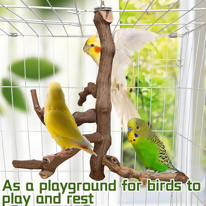 Bird Perch Stand Natural Parrot Perch for Cage Parakeet Climbing Platform Branches Swing Toy Cage Accessories for Cockatiels Lovebird Finches Canaries Budgie