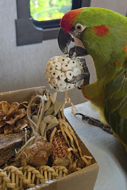 2 in 1 Parrot Toys, Tyotrbs Parakeet Foraging Box DIY Hanging String with Comes with 2 Hooks Bird Toy for Parakeets,Cockatiels,Conures,Love Birds Cage Accessories for Small to Medium Birds