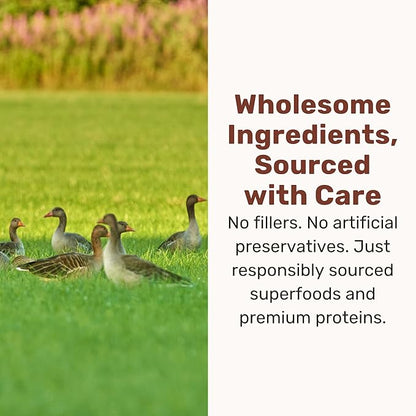 BADLANDS RANCH Superfood Nuggets- Premium, Freeze-Dried raw Dog Food Topper or Treat. Powerful Nutrient-Dense Ingredients. No Artificial additives. Duck and Kale Formula 8oz - 4pk Bundle