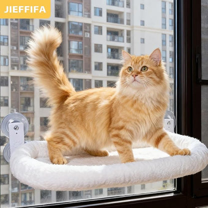 Cat Window Perch with Strong Suction Cups, 55lbs Hold Weight Tested, Foldable Cat Window Hammock Bed with Breathable Mesh, All-Season Lounger for Medium Small Cats to Bird Watch & Sunbathe (White, XL)