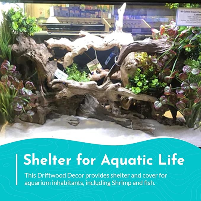 Malaysian Drift Wood Aquascaping Aquarium Decoration Large