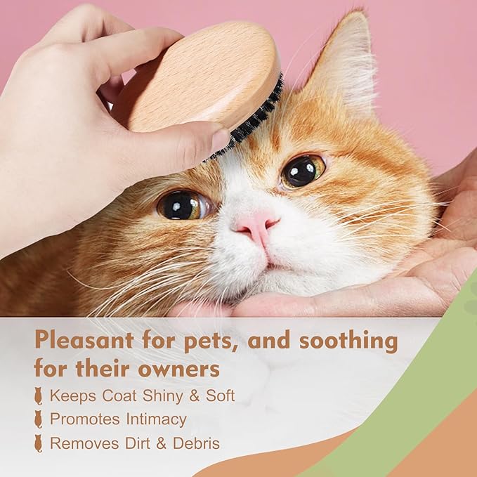 Soft Bristle Cat Brush, Wooden Cat Brush with Soft Boar Bristle, Natural Oval Pet Brush for Short Hair Cats and Small Dogs