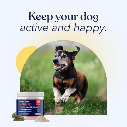 Honest Paws Joint Supplement for Dogs - Supports Mobility, Hip & Joint Health, Eases Stiffness - Glucosamine, Green Lipped Mussel, Fish Oil, Chondroitin Sulfate, MSM, Vitamin C