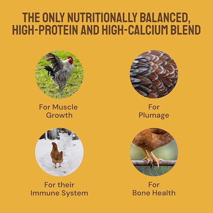 10lb Grubs & Grits Organic Chicken Feed - 3 Grub Blend with Oyster Shells & Grits - Dried Mealworms for Chickens Plus Large & Small Black Soldier Fly Larvae - Food Designed for Foraging