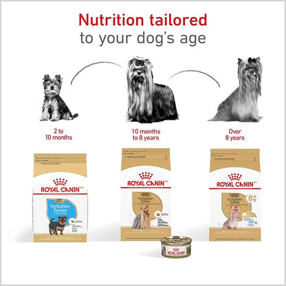 Royal Canin Breed Health Nutrition Yorkshire Terrier Adult Dry Dog Food, 10 lb Bag