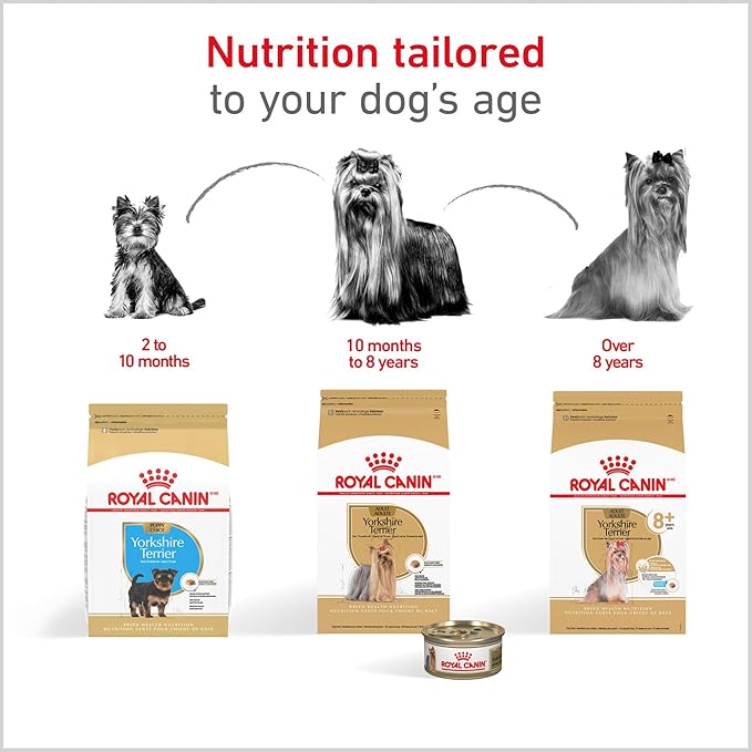 Royal Canin Breed Health Nutrition Yorkshire Terrier Puppy Dry Dog Food, 2.5 lb Bag