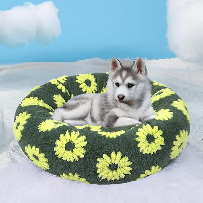 HYQ Small Dog Bed, Cat Beds for Indoor Cats, Dog Beds for Small Dogs with Anti-Slip Bottom, Cute Puppy Bed Washable-Yellow-20inch