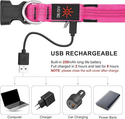 BSEEN Light Up Dog Collars - Glowing LED Dog Collar, Reflective Puppy Collar, Adjustable Lighted Dog Collar, Rechargeable Pet Collar for Night Walking (Pink-II, Large)