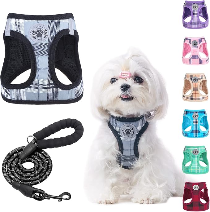 BEAUTYZOO Small Dog Harness and Leash Set,Step in No Chock No Pull Soft Mesh Dog Harnesses Reflective for Extra-Small/Small Medium Puppy Dogs and Cats, Plaid Dog Vest Harness for XS S Pets, Grey XS