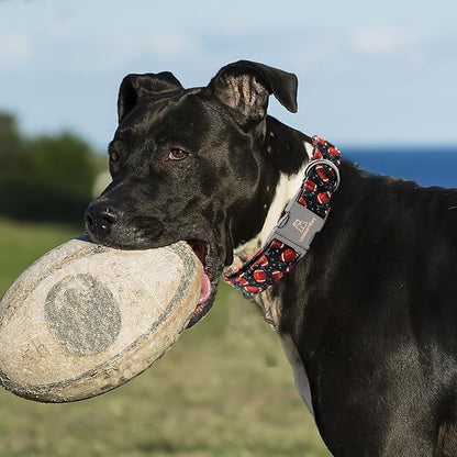 Lionheart glory Dog Collar Rugby Print Dogs Collar Boy Cute Collars Dog Soft Durable Adjustable Comfortable Handmade Dog Collars for Medium Dogs Pet Collar Gift