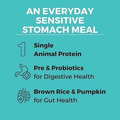 KOHA Limited Ingredient Bland Diet Dry Food for Dogs - Beef & Brown Rice Recipe, Sensitive Stomach Dog Food - Pumpkin for Digestive Support, 20 lbs