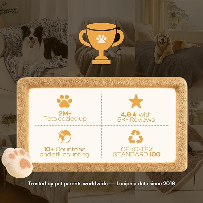 Luciphia 1 Pack 6 Dog Blankets Cat Soft Fluffy Fleece Pet Blanket Warm Cute Print Design Puppy Kitten Doggy Bone Small(23"x16")