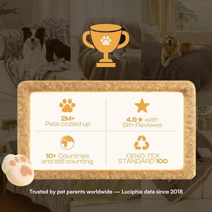 Luciphia 1 Pack 6 Dog Blankets Cat Soft Fluffy Fleece Pet Blanket Warm Cute Print Design Puppy Kitten Doggy Bone Small(23"x16")