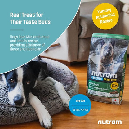 T26 Grain-Free Lamb & Lentils Dry Dog Food | High Protein, Chicken-Free Kibble with Pumpkin, Flaxseed & Salmon Oil | Easily Digestible, Allergy-Friendly for Puppies, Adults & Seniors (25 LBS)