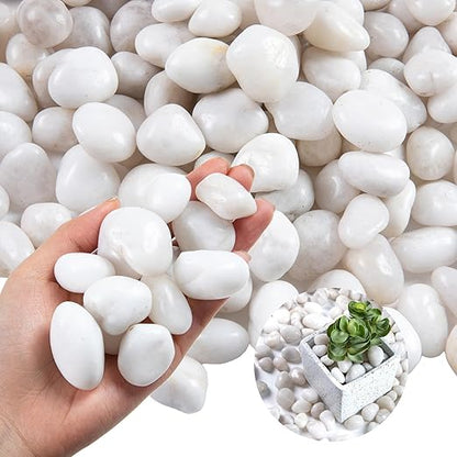 20lb White River Rock- High Polished Pebbles for Indoor Plants- Decorative Stones for Aquarium Fish Tank - White Rocks for Outdoor Garden Landscaping - 0.3"-0.8"