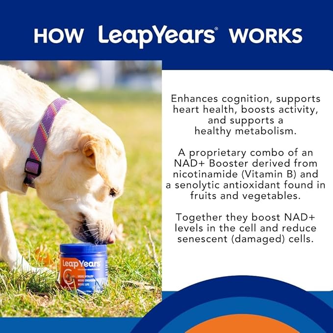 Leap Years Soft Chew Dog Supplement – Supports Healthy Aging, Cognition & Vitality; Veterinarian-Formulated for Brain, Heart & Muscle Health; Powerful NAD Booster & Senolytic Formula, Patent-Pending