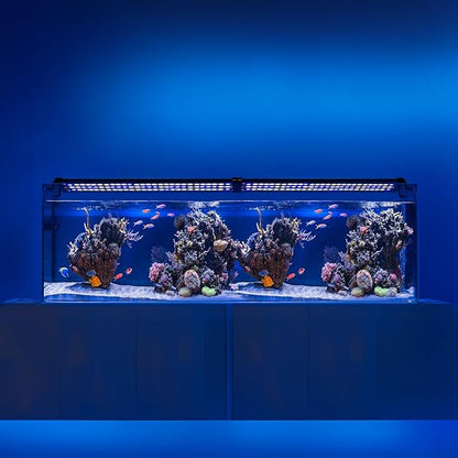 KZKR Aquarium LED Fish Tank Light 16-84 inch Remote Control Hood Lamp for Freshwater Saltwater Marine Full Spectrum Blue and White Decorations Light (Blue and White 48-60 inch)
