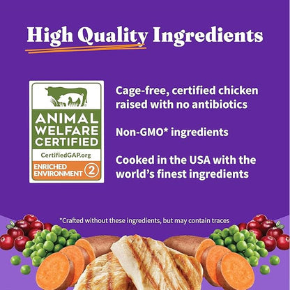 Halo Holistic Cage Free Chicken Cat Food, Healthy Grains Dry Cat Food, Complete Digestive Health, Kibble for Adult Cats, 3 lb Bag