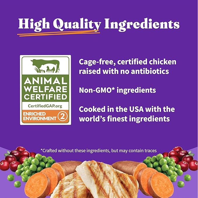 Halo Holistic Cage Free Chicken Cat Food, Healthy Grains Dry Cat Food, Complete Digestive Health, Kibble for Adult Cats, 6 lb Bag