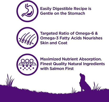 Wellness Complete Health Senstive Skin & Stomach Natural Adult Dry Dog Food, Salmon and Rice Recipe, 24 Pound Bag
