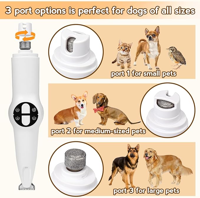 Dog Paw Trimmer for Grooming, 2 in 1 Dog Nail Trimmer with Light, Electric Dog Paw Hair Trimmer, Quiet Dog Clippers Grooming Kit, Paw Shavers for Dogs Feet, Safe Dog Nail Trimmer for Small Large Dogs