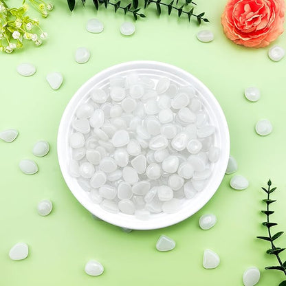 Glow in The Dark Fish Tank Rocks,Glowing Rocks Stones Resin Glow in Dark Pebbles for Outdoor Garden, Fish Tank, Aquarium, Landscaping,Driveway Decoration,White 2.2 Lb