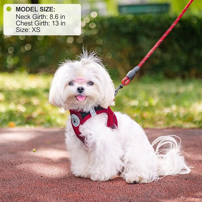 BEAUTYZOO Small Dog Harness and Leash Set,Step in No Chock No Pull Soft Mesh Dog Harnesses Reflective for Extra-Small/Small Medium Puppy Dogs and Cats, Plaid Dog Vest Harness for XS S Pets, Red S