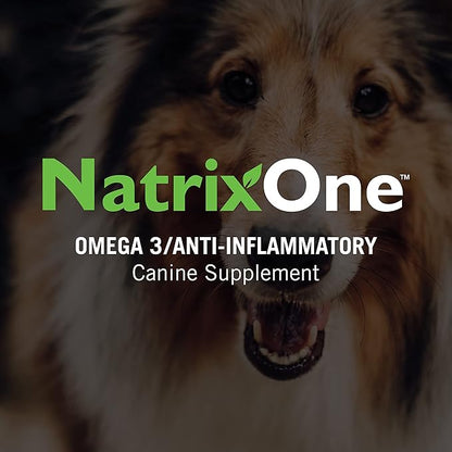 100% Pure Camelina Oil for Dogs, 8 oz - Dog Skin and Coat Supplement All-Natural Supplements, Support Hearts, Joints, Coats, Skin and Anti-inflammatory, Protective Care - Omega 3 by NatrixOne