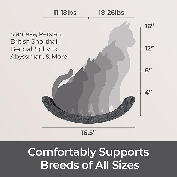 Wall Mounted Cat Hammock Bed by Pryde Pets - Floating Perch Curved Shelf, 100% Sustainable PET Felt Feline Enrichment Climber Furniture for Indoor Cats, Modern Climbing Gym Jungle Design (Charcoal)