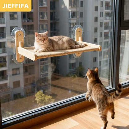 Cat Window Perch with Strong Suction Cups, 55lbs Hold Weight Tested, Foldable Cat Window Hammock Bed with Breathable Mesh, All-Season Lounger for Medium Small Cats to Bird Watch & Sunbathe