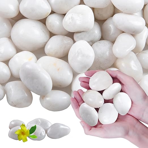 20Ib White River Rocks for Landscaping- High Polished Pebbles for Plants-Garden Decorative Stones-1-2 Large Plant Rocks,Ideal for Aquarium, Home Decor