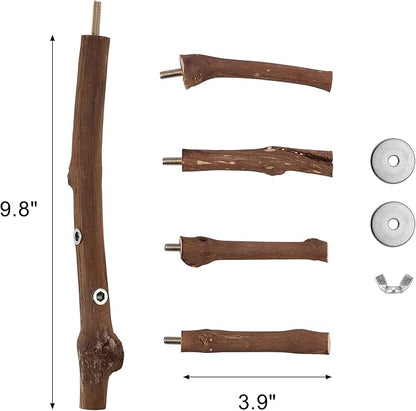 CozyCabin Natural Bird Perch Stand, Hanging Multi Branch Grapevine Parrot Perch Bird Cage Toys for Small Budgies Conure Parrot Parakeets Cockatiels Lovebirds (Branch)
