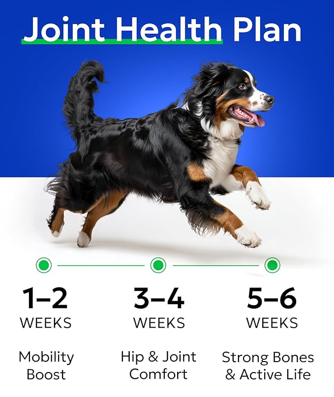 Bark&Spark Glucosamine Chondroitin Dog Hip & Joint Supplement - Joint Pain Relief - Hip & Joint Chews - Joint Support Large Small Breed - Senior Doggie Vitamin Pill Joint Health (180 Treats - Chicken)
