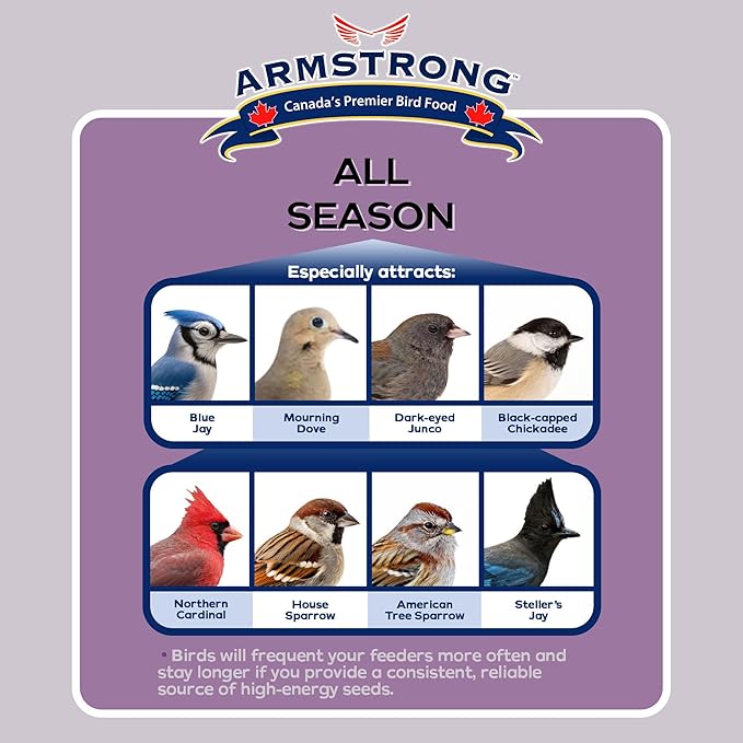 Armstrong Wild Bird Food All Season Bird Seed Blend, 33 Pounds - with Cut Corn, Wheat, White & Red Millet, Black Oil Sunflower Seeds for Blue Jays, Dark-Eyed Juncos and Mourning Doves