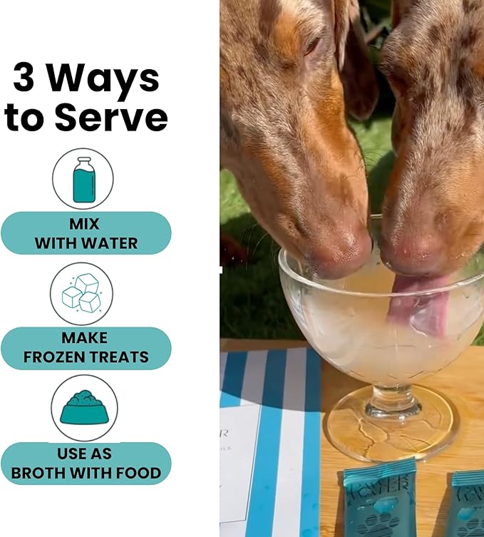 Advanced Joint & Hydration Supplement for Dogs – Vet-Approved - Soluble Powder with Collagen, Electrolytes, 7 Active Nutrients & Vitamins – Chicken Broth Flavor (Up to 4 Weeks Supply)