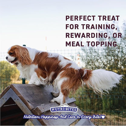 NutriBites Freeze Dried Beef Recipe Dog & Cat Treats, 4oz | Healthy Pet Training Treats or Food Topper | All Natural, Single Ingredient, High Protein | Great for Puppy, Small, Medium, or Large Breeds