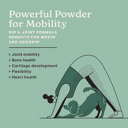 The Missing Link Hip & Joint 1 lb Powder Supplement + Honest to Goodness Blueberry Carrot Golden Years 8oz Dog Treats