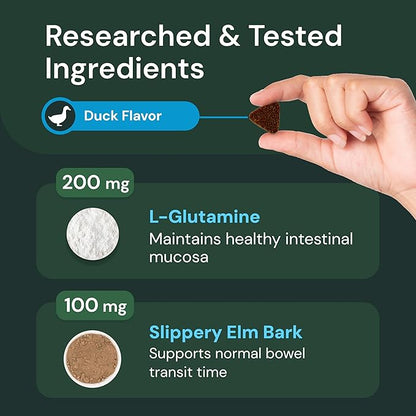 VETRISCIENCE Veterinary Strength Gut & Bowel Support for Dogs & Cats - Pet Digestive Health Supplement - Gut Health Formula - Intestinal Support - Duck Flavor - 60 Count