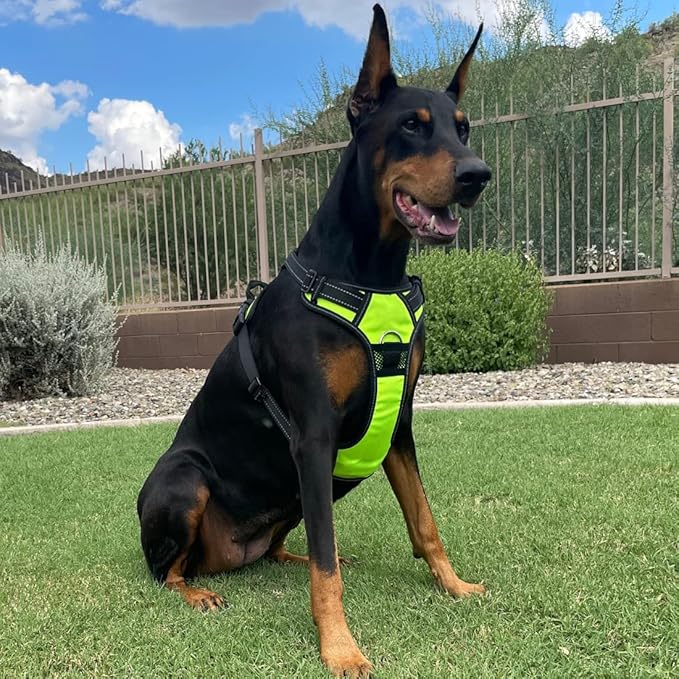 4Knines No Pull Dog Harness for XL Dogs  Adjustable Reflective Harness with Front & Back Leash Clips  Padded for Comfort  Durable, Easy Control for Walks & Training (Yellow)