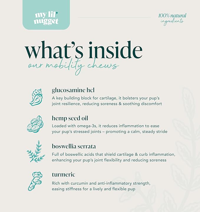 My Lil Nugget  Joint Supplement for Dogs with Glucosamine, Chondroitin, & Hemp  Natural Hip and Joint Support  Bacon Flavor Chews for Mobility, Flexibility & Dog Arthritis Pain Relief  90 Count