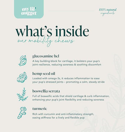 My Lil Nugget  Joint Supplement for Dogs with Glucosamine, Chondroitin, & Hemp  Natural Hip and Joint Support  Bacon Flavor Chews for Mobility, Flexibility & Dog Arthritis Pain Relief  90 Count